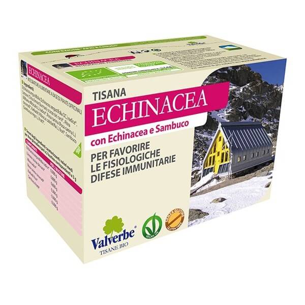 Tisane Échinacée