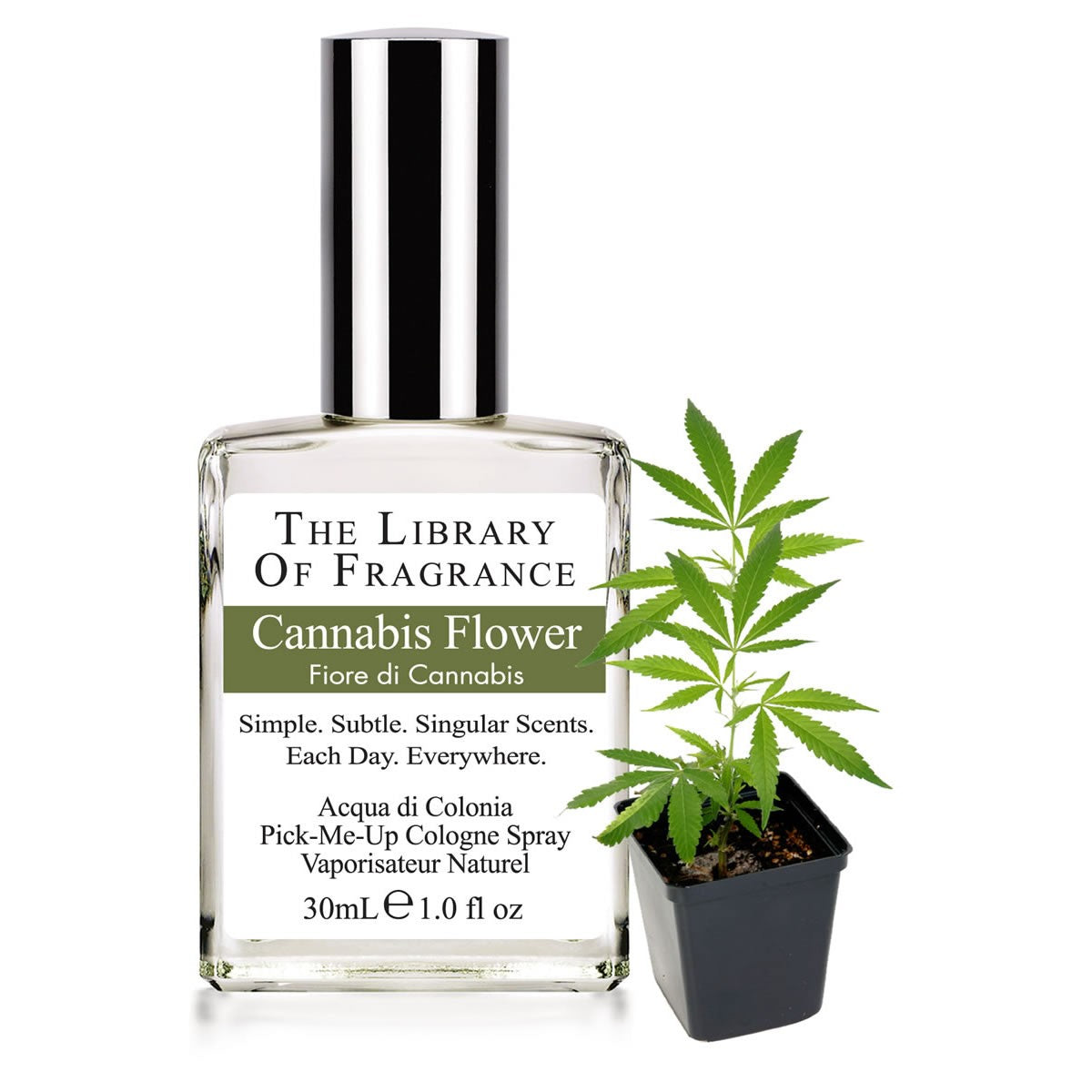 Parfum naturel - Fleur de Cannabis