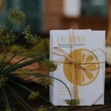 Gel Douche Solide Les Peaux Normales - Californie