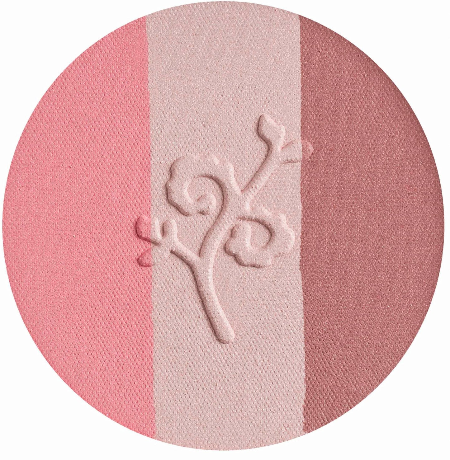 Blush Naturel Trio Fall in Love