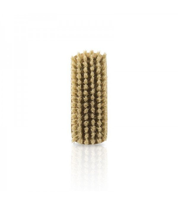 Brosse de cirage de chaussures