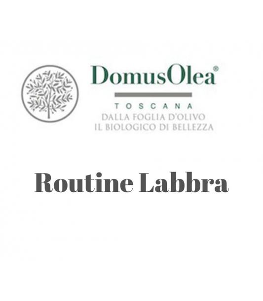 Routine Lèvres
