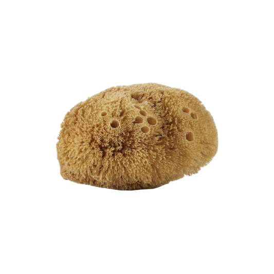 Éponge corporelle naturelle