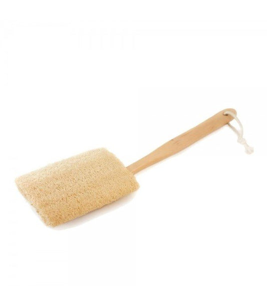 Brosse Loofah avec Manche