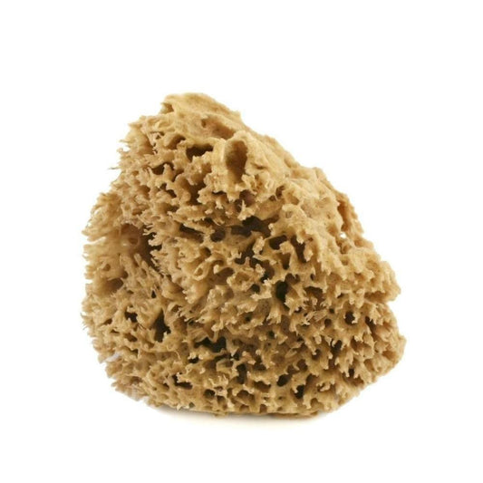 Spugna Arcipelago Lavata 8-10 gr
