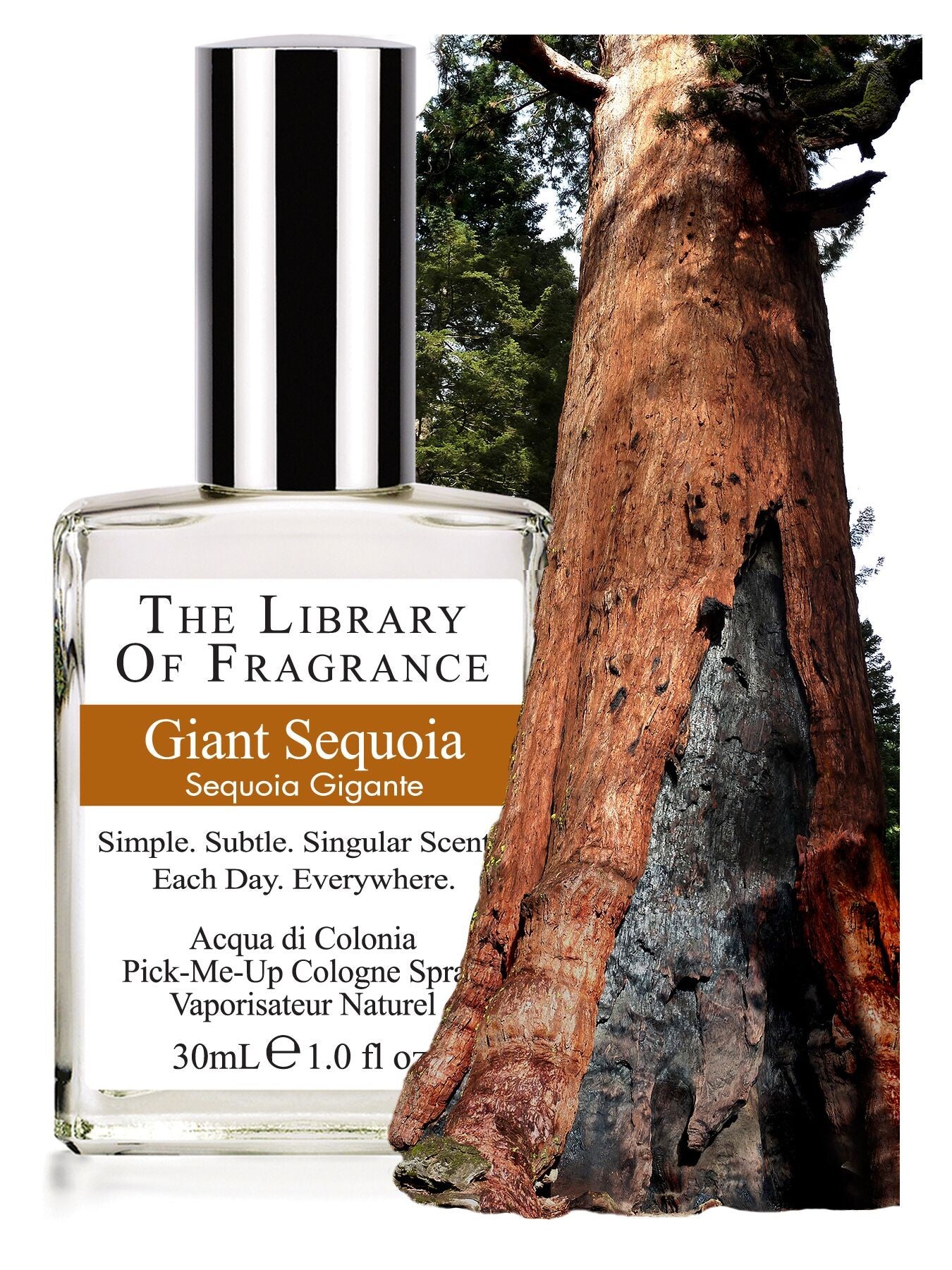 Le Parfum De La Nature - Séquoia Géant