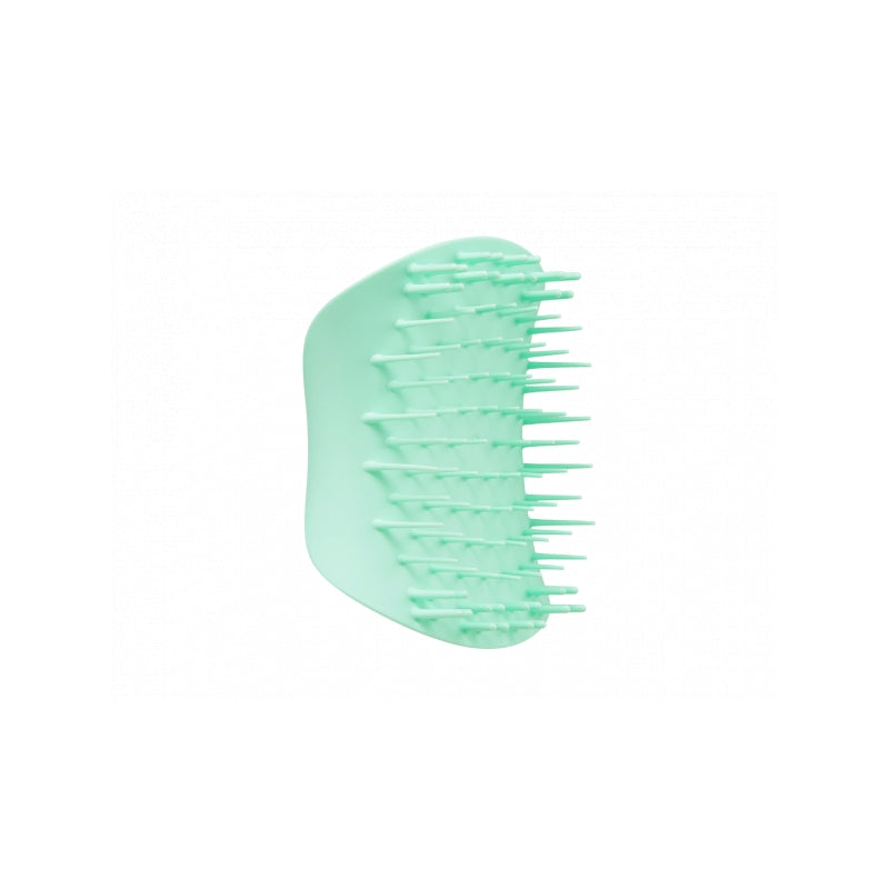 Brosse Exfoliante pour Cuir Chevelu-Vert Menthe