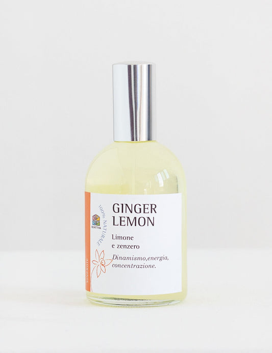 Natural Parfum de Chambre - Ginger Lemon