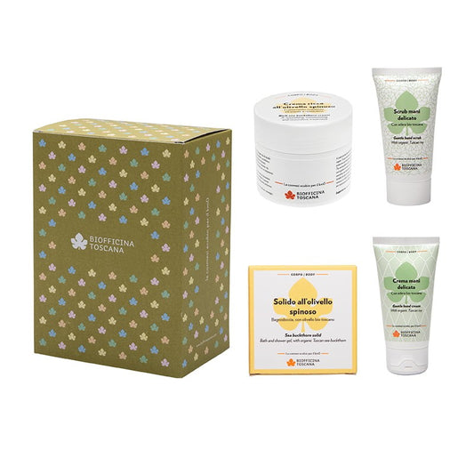Kit carrosserie argousier et lierre